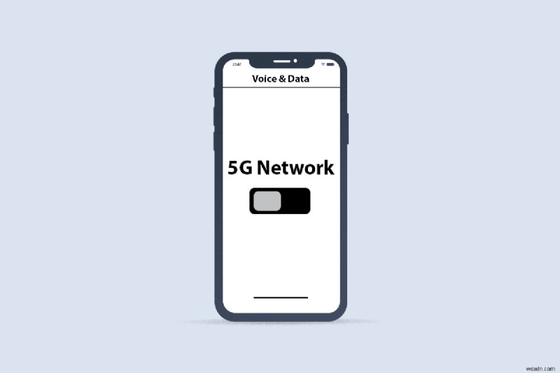 iPhone 11 で 5G をオンにする方法