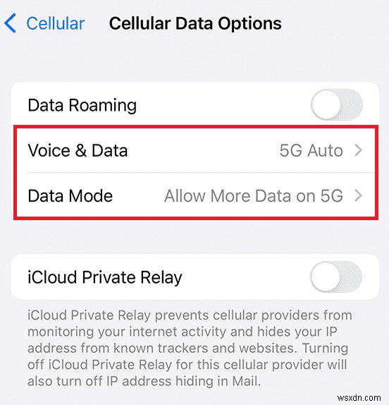 iPhone 11 で 5G をオンにする方法