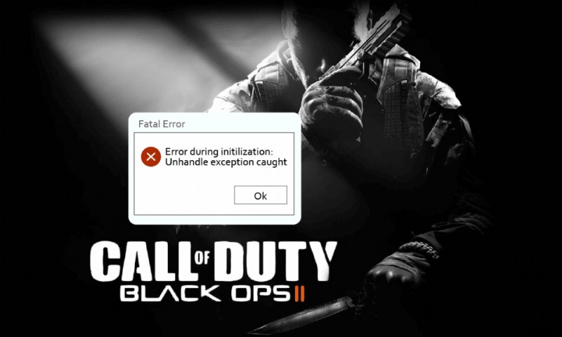 CoD Black Ops 2 Unhandled Exception Caught エラーを修正