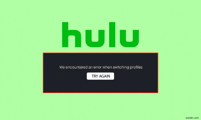 Windows 10 の Hulu スイッチ プロファイル エラーを修正する