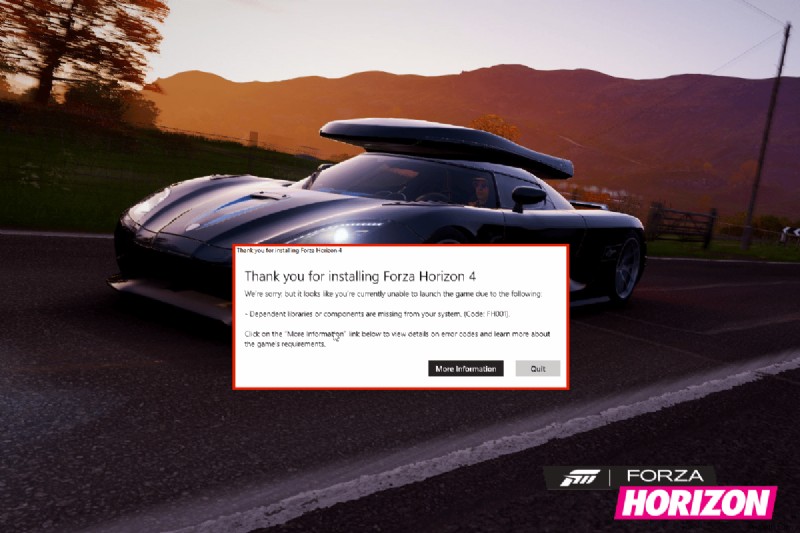 Windows 10 で Forza Horizo​​n 4 FH001 を修正 