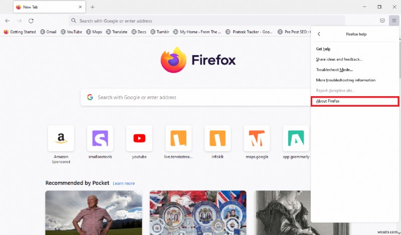 Firefox のプラグイン コンテナが機能しない問題を修正 