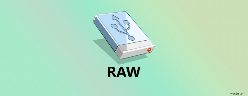 RAW 外付けハード ドライブからファイルを復元する方法