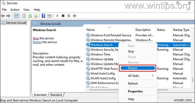 修正:Windows 11 検索が機能せず、結果が返されない。