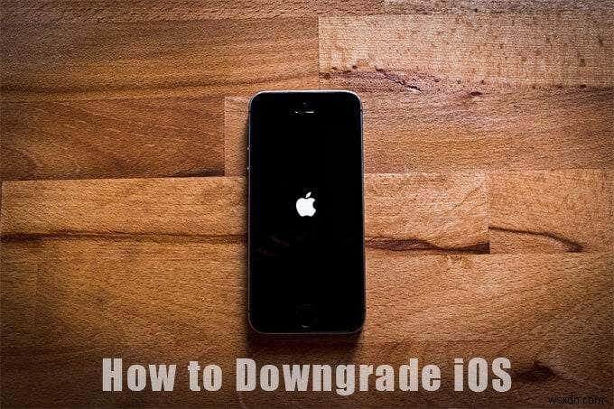 iOS をダウングレードする方法
