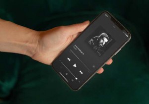 Apple Music が一時停止し続けるのはなぜですか?試す 10 の修正