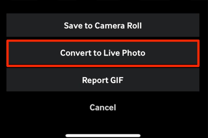 ビデオを Live Photo に変換する方法