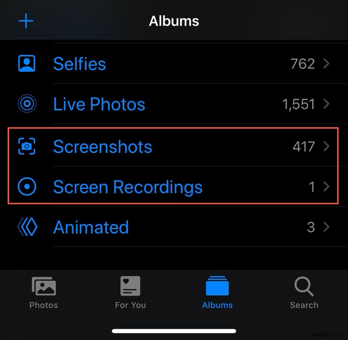 iPad でスクリーンショットまたは録画を行う方法