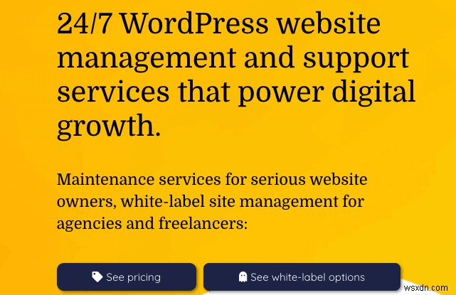 選べる 12 のベスト WordPress メンテナンス サービス (更新)