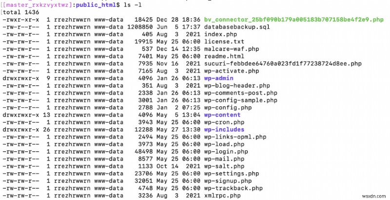 WordPress ファイルのアクセス許可:完全な初心者向けガイド