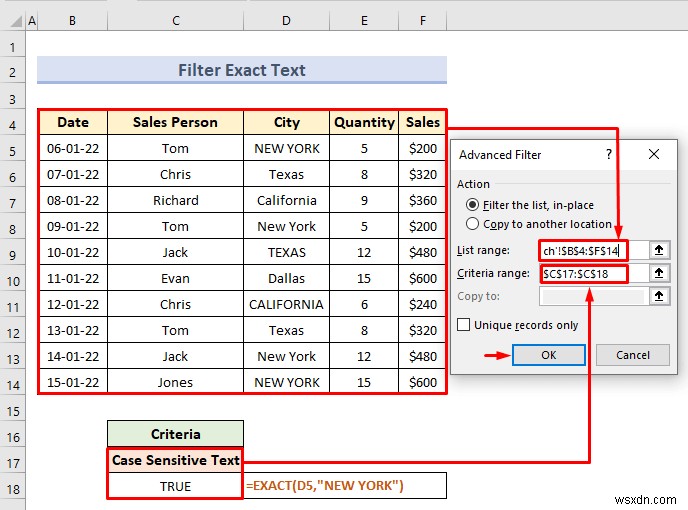 Excel の基準範囲を使用した高度なフィルタ (18 アプリケーション)