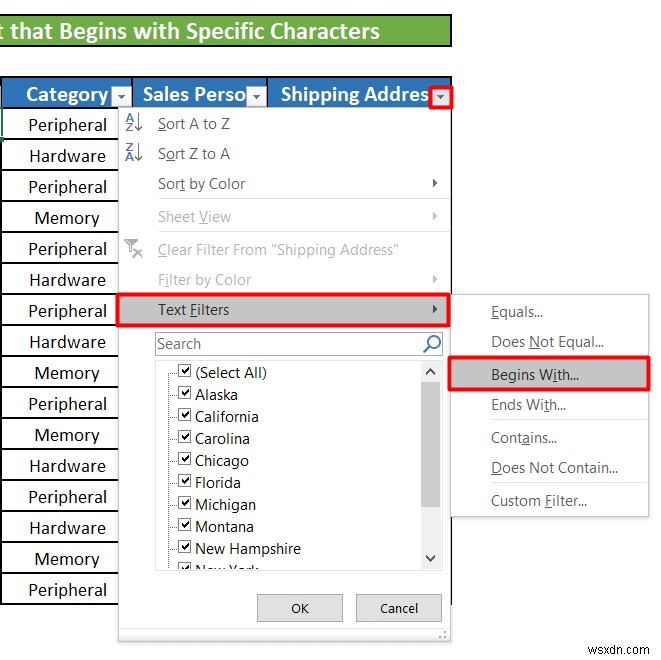 Excel でテキスト フィルタを使用する方法 (5 つの例)