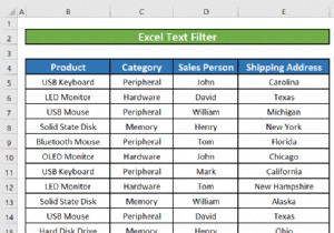 Excel でテキスト フィルタを使用する方法 (5 つの例)