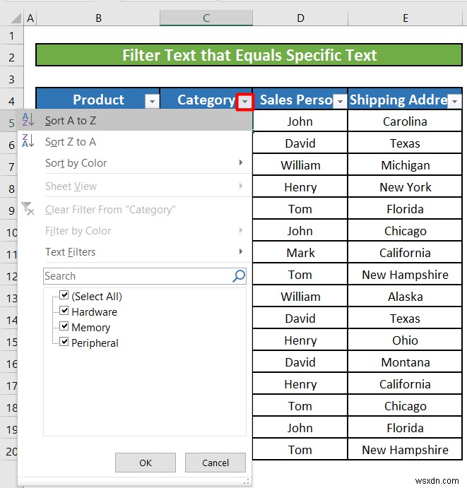 Excel でテキスト フィルタを使用する方法 (5 つの例)