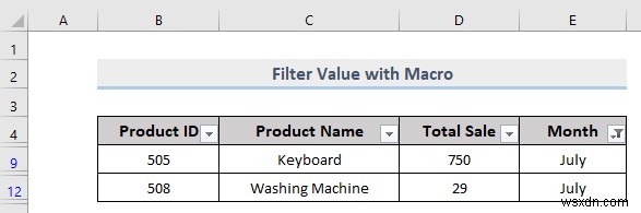 Excel でカスタム フィルターを実行する方法 (5 つの方法)