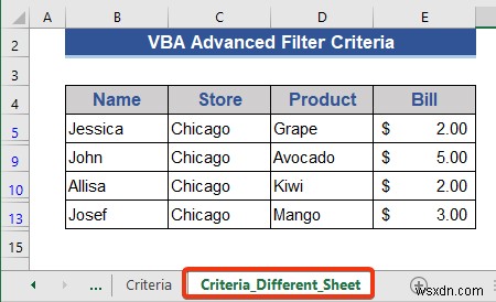 高度なフィルタ基準を使用した Excel VBA の例 (6 ケース)