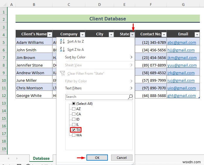 Excel でクライアント データベースを作成する方法 (簡単な手順)