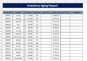Excel で在庫エイジング レポートを作成する方法 (ステップ バイ ステップのガイドライン)