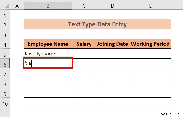 Excel でのデータ入力の種類 (簡単な概要)