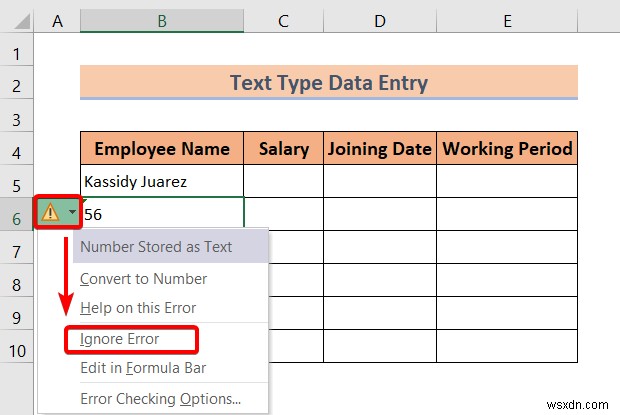 Excel でのデータ入力の種類 (簡単な概要)