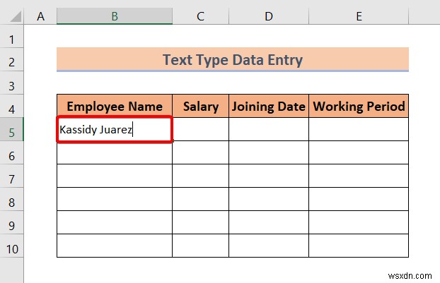 Excel でのデータ入力の種類 (簡単な概要)