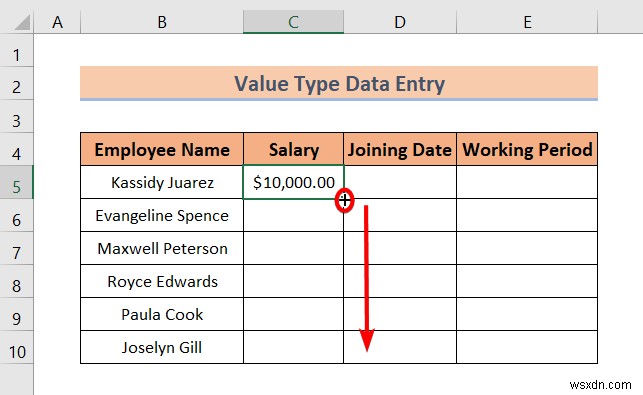 Excel でのデータ入力の種類 (簡単な概要)