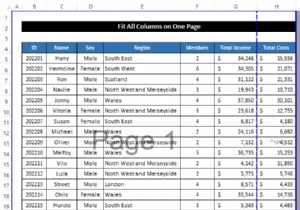 Excel ですべての列を 1 ページに収める方法 (5 つの簡単な方法)