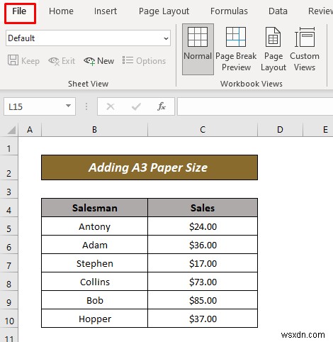 Excel で A3 用紙サイズを追加する方法 (2 つの簡単な方法)