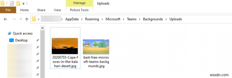 Bing の毎日の画像を Microsoft Teams のカスタム背景として使用する方法