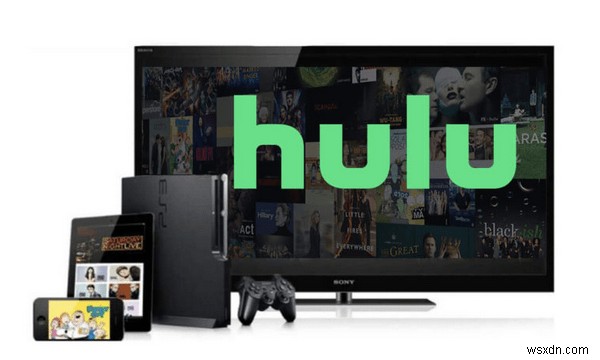 Hulu エラー コード PLAUNK65 を修正する方法