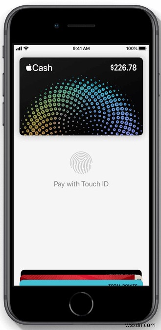 すべての Apple デバイスで Apple Pay を使用する方法