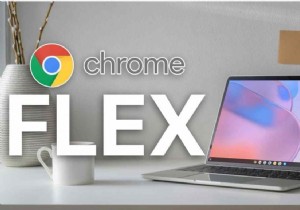 Google Flex 待望のオペレーティング システム