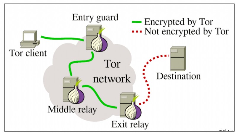 Tor は通常のブラウジングでも安全ですか?