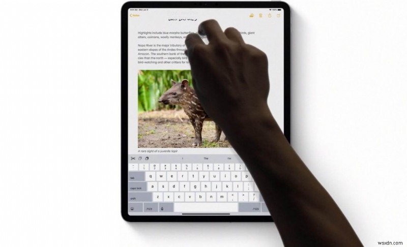 iPadOS の 5 つの新機能は要チェック!