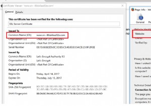 ハッカーがフィッシング URL を隠蔽できる新しい手口