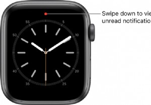 Apple Watch のレッド ドット通知を取り除く方法