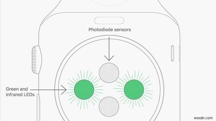 Apple Watch 心拍数モニターに期待すること