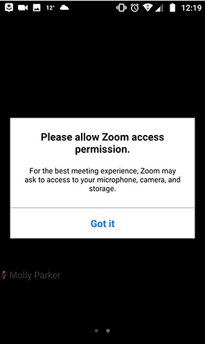 修正:Zoom で誰の声も聞こえない