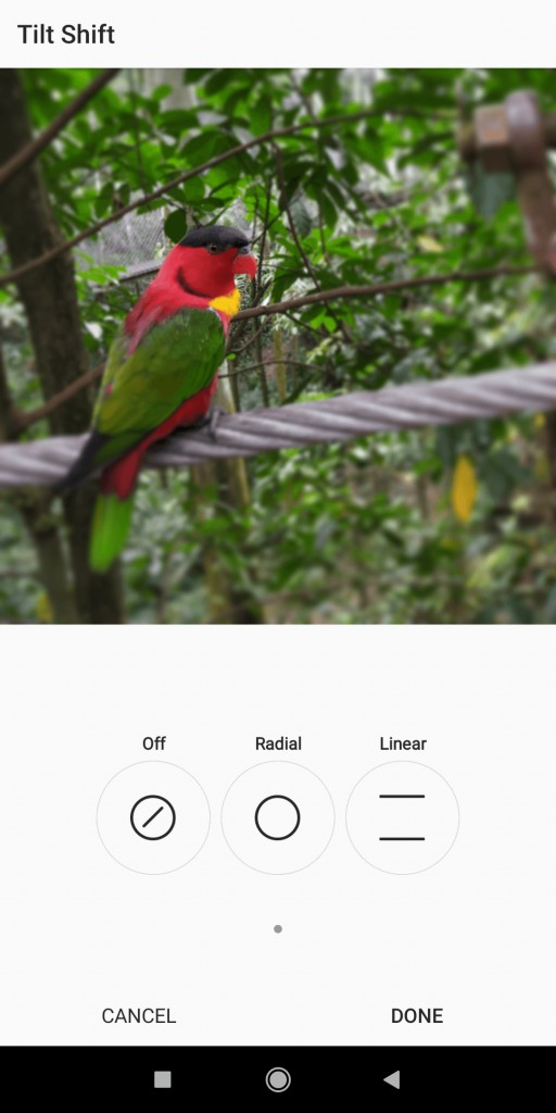 Android と iPhone で写真の背景をぼかすのに最適なアプリ