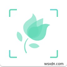 Android と iPhone 向けの最高の植物識別アプリ トップ 10