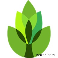 Android と iPhone 向けの最高の植物識別アプリ トップ 10