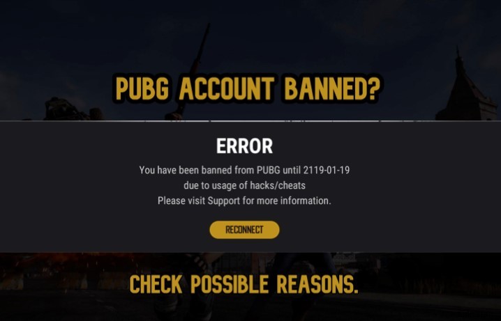 おそらく知られていない PUBG に関する 11 の事実