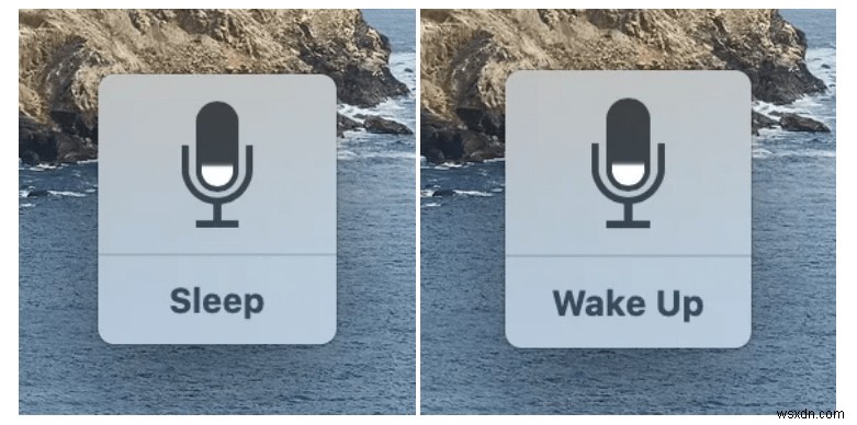 macOS Catalina で音声コントロールを使用する方法