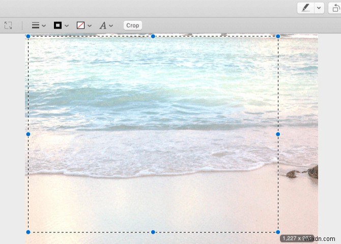 プレビュー アプリを使用して Mac で写真を編集する方法