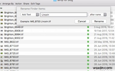 Mac で複数のファイルの名前を一度に変更する方法