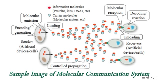 分子コミュニケーション – 生物学的コミュニケーション ネットワークからヒントを得た