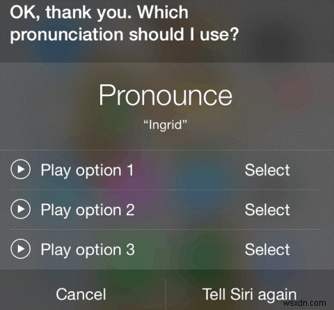 Siri が単語を発音する方法を変更できます