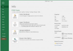 【解決策】Excel 2016が空白・グレー画面で開くときの直し方