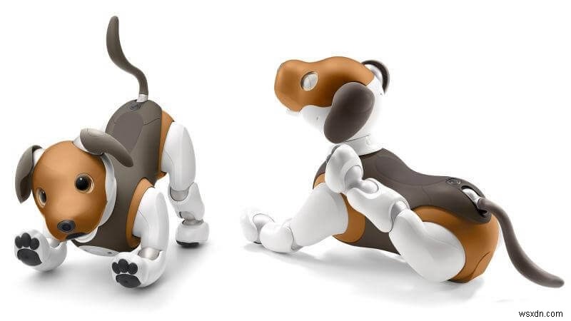 Sony Aibo に挨拶 — このミレニアル世代で最もクールなロボット犬