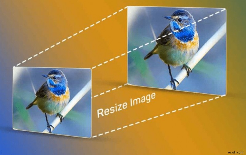 画像サイズ変更ツールを使用して画像の向きを調整し、画像を拡大する方法